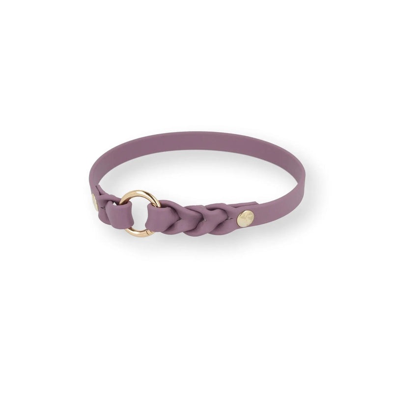 Markenhalsband small aus BioThane für kleine Hunde – Exceptional Manufaktur