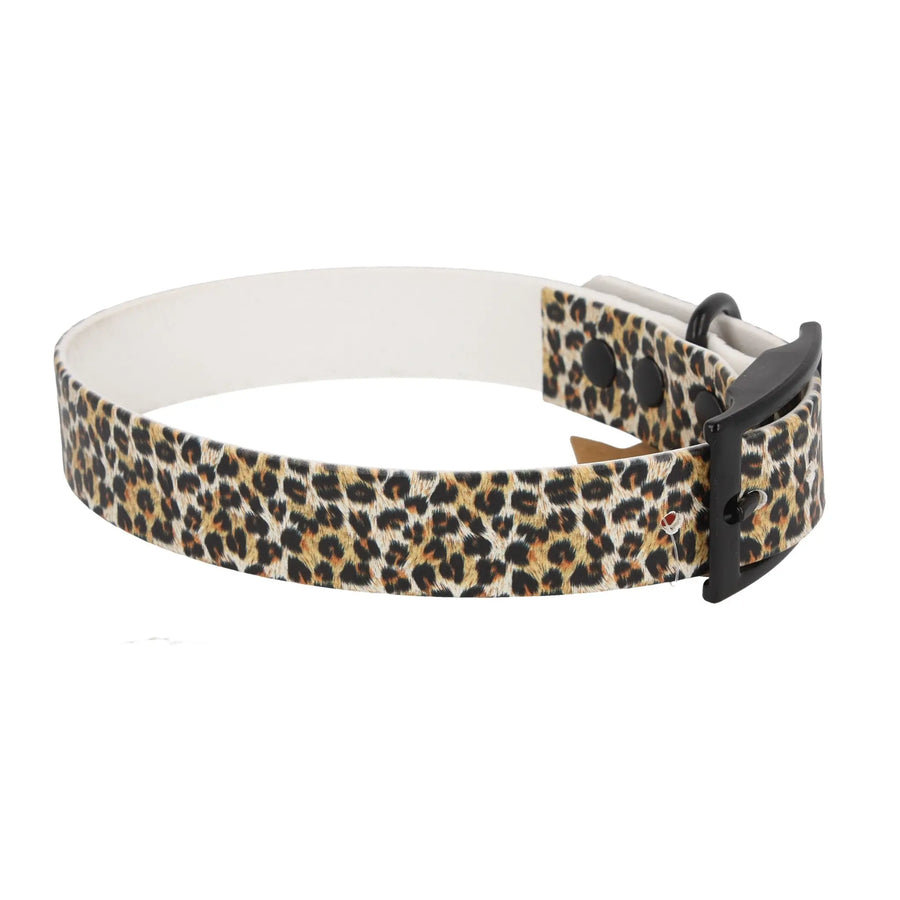 BioThane Hundehalsband 'Leo' – weitere Ansicht, Exceptional Manufaktur