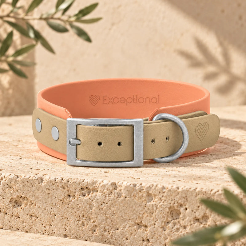 BioThane Halsband Moonstone Peach mit Exceptional-Prägung, Peach und Beige, Beschläge in Silber