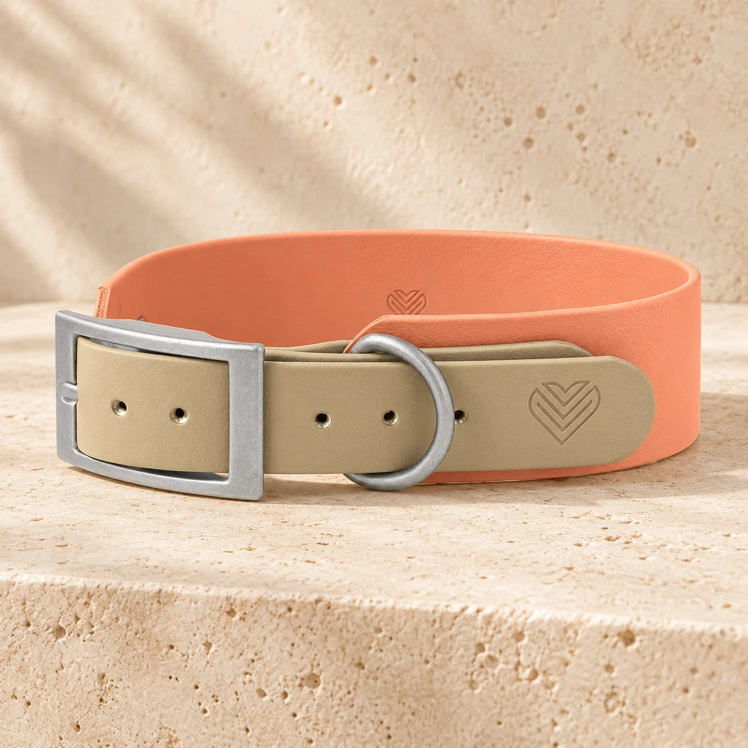 BioThane Halsband Moonstone Peach in Peach und Beige mit Herz-Prägung, Schnalle und D-Ring in Silber - Exceptional
