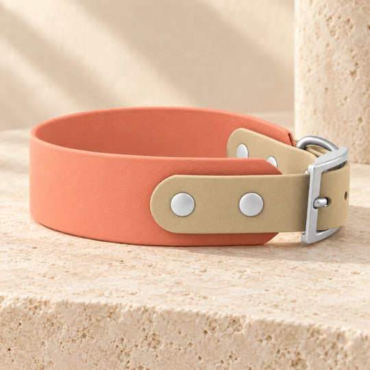 BioThane Halsband Moonstone Peach in Peach und Beige, Seitenansicht mit Nieten und Schnalle in Silber - Exceptional