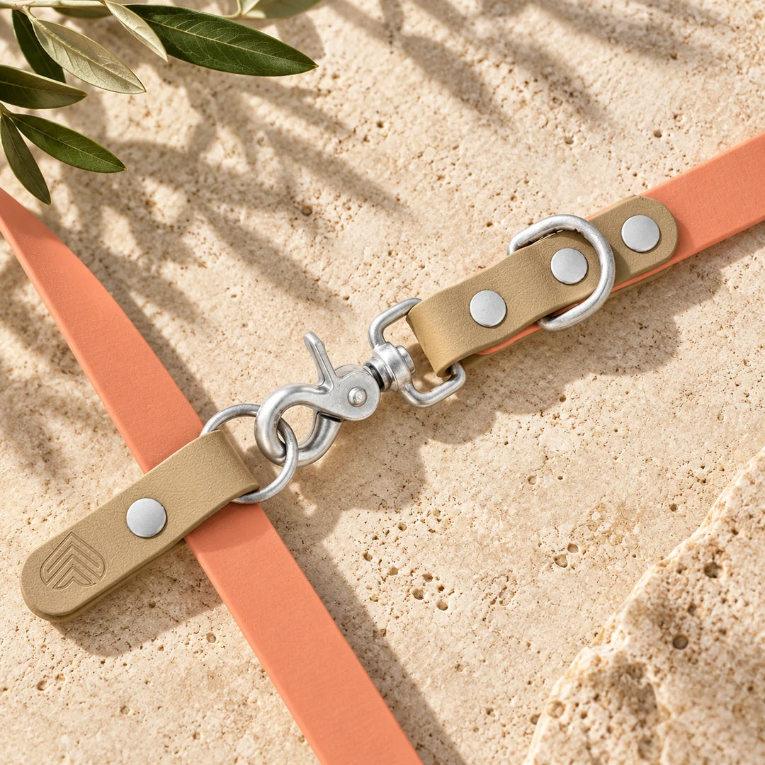 Detail der BioThane Hundeleine Moonstone Peach: Karabiner in Silber am O-Ring - Exceptional