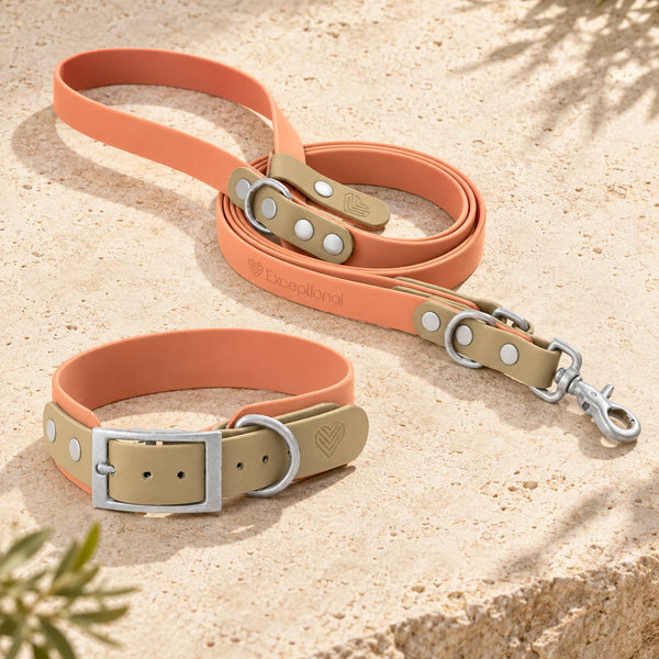 Set | BioThane® Halsband und Leine 'Moonstone Peach'
